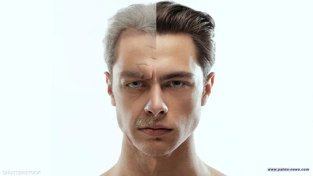 دراسة: العلاقات الاجتماعية تبطئ الشيخوخة وتطيل العمر